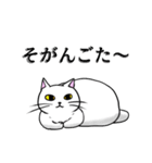 こん猫佐世保弁喋りよるばい（個別スタンプ：15）