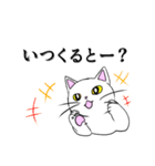 こん猫佐世保弁喋りよるばい（個別スタンプ：21）