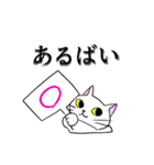 こん猫佐世保弁喋りよるばい（個別スタンプ：24）
