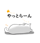 こん猫佐世保弁喋りよるばい（個別スタンプ：27）