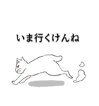 こん猫佐世保弁喋りよるばい（個別スタンプ：33）
