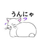 こん猫佐世保弁喋りよるばい（個別スタンプ：34）