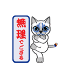 隈ねこ組（個別スタンプ：17）