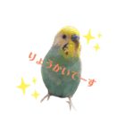 もなくるにこあず1（個別スタンプ：3）