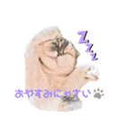 もなくるにこあず1（個別スタンプ：4）