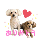 もなくるにこあず1（個別スタンプ：7）