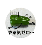 ぴーすけ☆毎日使えるスタンプ（個別スタンプ：2）