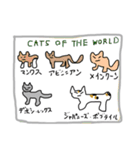 動物病院の毎日（個別スタンプ：10）