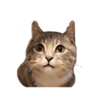 杏子のまいにち（個別スタンプ：5）