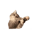 杏子のまいにち（個別スタンプ：7）