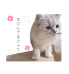 ティちゃんスタンプ（個別スタンプ：1）