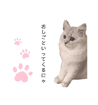 ティちゃんスタンプ（個別スタンプ：5）