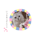 ティちゃんスタンプ（個別スタンプ：6）