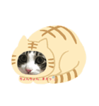ココ助さん（個別スタンプ：3）