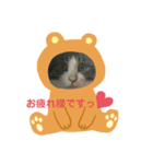 ココ助さん（個別スタンプ：8）