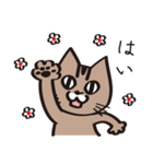 茶ねこテトの日常編（個別スタンプ：1）
