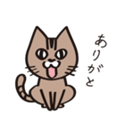 茶ねこテトの日常編（個別スタンプ：2）