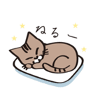 茶ねこテトの日常編（個別スタンプ：4）