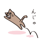 茶ねこテトの日常編（個別スタンプ：16）