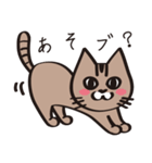 茶ねこテトの日常編（個別スタンプ：17）