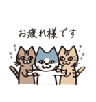 茶ねこテトの日常編（個別スタンプ：24）