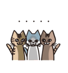 茶ねこテトの日常編（個別スタンプ：28）