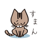 茶ねこテトの日常編（個別スタンプ：34）
