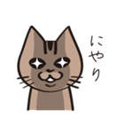 茶ねこテトの日常編（個別スタンプ：40）