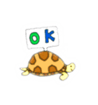 かめのすること（個別スタンプ：6）