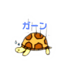 かめのすること（個別スタンプ：13）