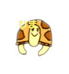 かめのすること（個別スタンプ：14）