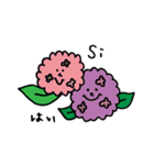 スペイン語☆日本語☆お花のスタンプ（個別スタンプ：30）