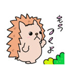 かわいいハリネズミくんスタンプ（個別スタンプ：12）