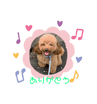 ♡らきたんスタンプ♡（個別スタンプ：7）