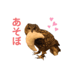 フクロウ大好き（個別スタンプ：12）