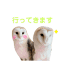 フクロウ大好き（個別スタンプ：14）