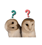 フクロウ大好き（個別スタンプ：20）