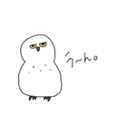 フクロウ大好き（個別スタンプ：39）
