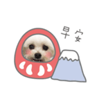 ハマイ二人形（個別スタンプ：4）