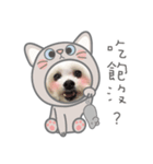 ハマイ二人形（個別スタンプ：5）