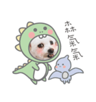 ハマイ二人形（個別スタンプ：6）
