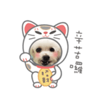 ハマイ二人形（個別スタンプ：8）