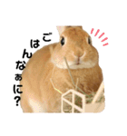 うさぎのわたちゃん。（個別スタンプ：8）