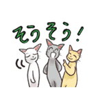 ニャーねこ 第3弾 日常リアクション（個別スタンプ：25）