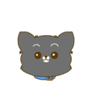 うちのワンコ(ポメラニアン×チワワ)（個別スタンプ：1）