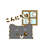 うちのワンコ(ポメラニアン×チワワ)（個別スタンプ：6）
