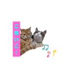 ニャンズ5（個別スタンプ：10）