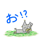 ヨークシャーテリア「わか」のスタンプ（個別スタンプ：13）