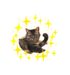 ふくRingoポール（個別スタンプ：4）