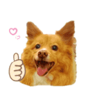 ふくRingoポール（個別スタンプ：8）